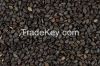 pongamia seeds, grape seeds, Sesame Seeds, Rape Seeds, mustard seeds, soyabeans