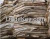 Wet Salted Cow Hides