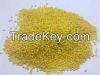 millet, yellow millet, red millet, millets, black millet, broomcorn millet