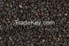 Sesame Seeds, Hemp Seeds, Flax Seeds, Sunflower Seeds, Cotton Seeds, Rape Seeds, Castor Seeds, Jatropha Seeds