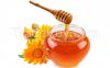 Honey from Bulgaria (best price) - Acacia , Bucket, Sunflower