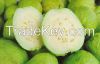 Fresh White Guava