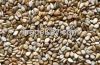 Sesame Seed, Sunflower Seed, Moringa Seeds.Poppy Seeds