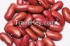 White and Red Kidney Beans