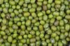 Green Mung Beans