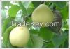 Fresh Pears