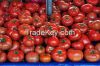 Quality Fresh Tomatoes