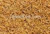 High Quality Durum Wheat