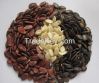 Organic Melon Seeds