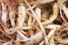 Ginseng Root Extract/Ginseng Extract/Ginseng Extract Powder/Ginseng Oil /Ginseng Powder