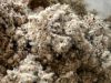 Quality Cottonseed Hulls
