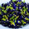 Butterfly Pea Flowers