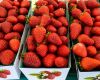 FRESH/FROZEN AUSTRALIAN STRAWBERRIES