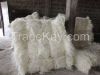 SISAL FIBER UG Grade A From KENYA