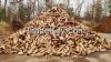 KD Firewood in Wooden Box Pallet 100/100/180