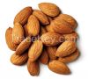 Almond Nuts