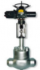 ZDL electric single seat control valve