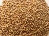 Top Quality Alfalfa Seeds