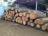 Oak Wood Logs