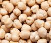 CHICK PEAS from Ukraine