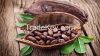 Sell Cocoa Beans