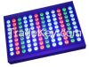 to sell LED RGB Flood Light 1000w, 800w, 500w, 300w