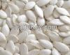 snow white pumpkin seeds