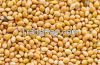 Superior Quality  Millet