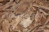 Agarwood Chips