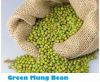 Selling Fresh Natural Green Mung Bean