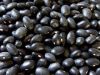 Black Beans for sale