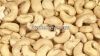 Processed Cashew Kernels WW-180 WW-240 and WW-320