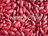 Kidney Beans, Chickpeas, Lentils, Vigna Beans, Soybeans, Peas, Broad Beans, Mung Beans, Black Beans