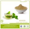 Instant green tea powder