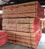 Sepetir Sawn Timber