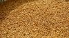 Sell High Quality Grade A Sesame Seeds from Nigeria