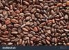 Sell Grade A High Quality Raw Cocoa Beans