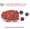 2.5% natural astaxanthin biomass, 100% Haematococcus pluvialis powder,