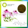 High Quality Echinacea Extract