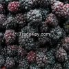 We sell FROZEN IQF BLACKBERRIES AND RASPBERRIES