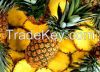 Fresh Pineapples