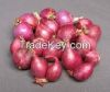 Small Red Onions