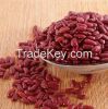Red kidney bean with good quality best price