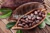 We are looking for Importer of CACAO and BIO CACAO PRODUCTS