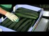 High Quality Fresh Organic Cucumber/Frozen Cucumber/Sea Cucumber