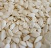 white melon seeds