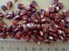 Red Corn Grains For Birds