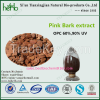 high purity Pinus maritime pine bark extract, OPC 95%