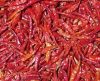 Dry Red Chilies