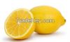 Fresh Lemon